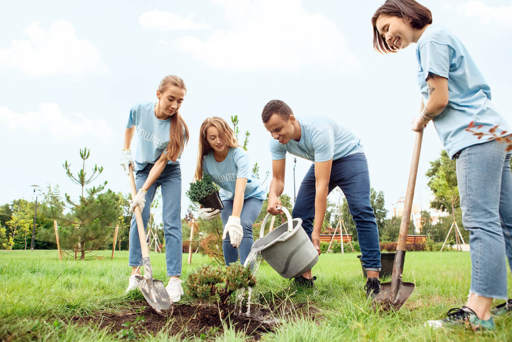 people planting trees